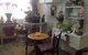 Bahia Restaurant - thumb 3