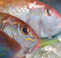 Coro Hotel - Lure Seafood Restaurant - VIC Tourism