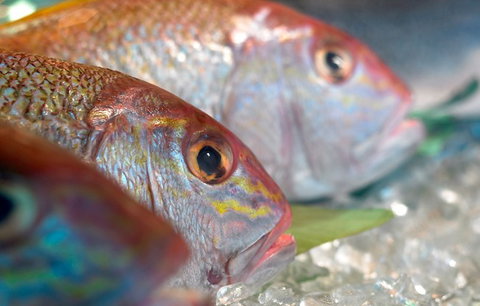 Coro Hotel - Lure Seafood Restaurant - VIC Tourism 0