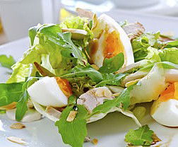 Montville QLD VIC Tourism