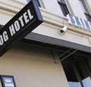 Skinny Dog Hotel - VIC Tourism
