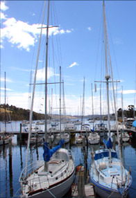  VIC Tourism