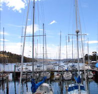 Oyster Cove Inn - VIC Tourism