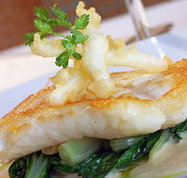 Brighton Metro Hotel - VIC Tourism