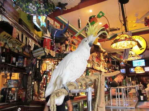 A Friend In Hand - VIC Tourism 0