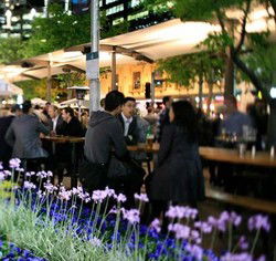 Quay Bar - VIC Tourism 0