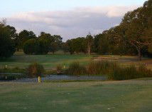 Dive Bar - VIC Tourism 2