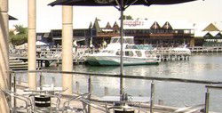 The Stage Door Bar & Brasserie - VIC Tourism 3