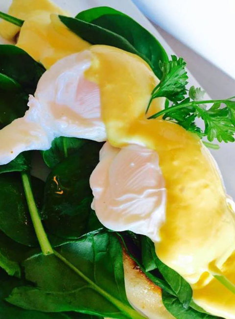 The Juniors - VIC Tourism 4