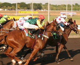 Darwin Turf Club - VIC Tourism 1