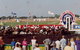 Darwin Turf Club - thumb 0