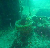 Wallaroo Scuba Club - VIC Tourism