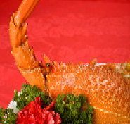 Marigold - VIC Tourism