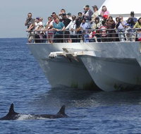 MoonshadowTQC Cruises - VIC Tourism