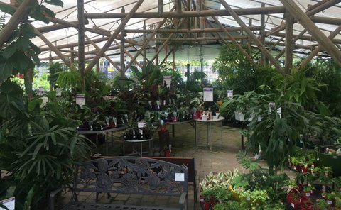 Limberlost Nursery & Garden Centre - VIC Tourism 1