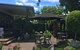 Limberlost Nursery & Garden Centre - thumb 2