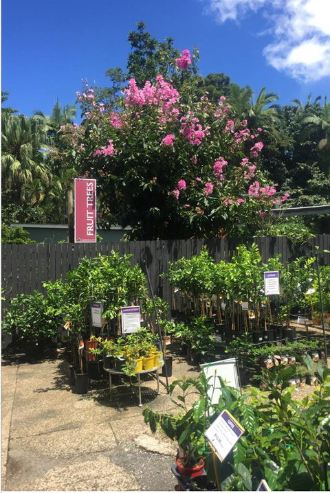 Limberlost Nursery & Garden Centre - VIC Tourism 3
