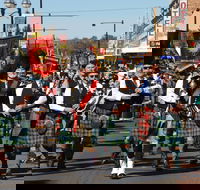 Australian Celtic Festival - VIC Tourism