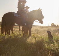 Balonne Cutting Horse Futurity - VIC Tourism