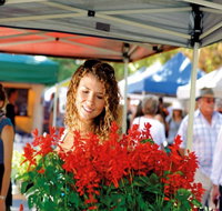 Ballina Missingham Farmers Market - VIC Tourism
