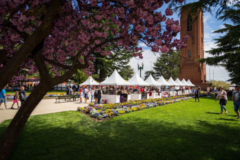 B-Rock Super Wednesday - Driver Signing - VIC Tourism 1