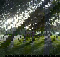 Celebration Outing Special