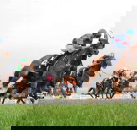 Christmas Cup Race Day - VIC Tourism