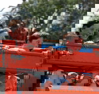 Culcairn Agricultural Show - VIC Tourism