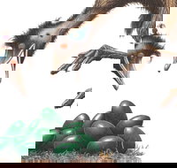 Edward the Emu - VIC Tourism