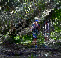 Elephant Trail Race - VIC Tourism