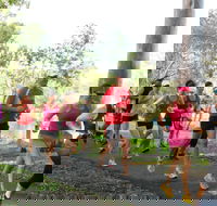 Gladstone Weekly Parkrun - VIC Tourism