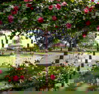 Griffith Spring Fest - VIC Tourism