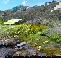 Hedonistic Hiking's Falls Creek to Hotham - VIC Tourism