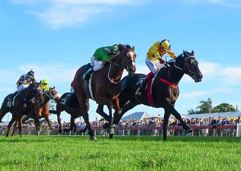 Ipswich Cup 2021 - VIC Tourism 2