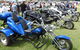 Kiama Auto Expo - Rotary Clubs Of Gerringong And Kiama - thumb 1