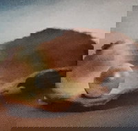 Lecture Cancelled  ADFAS  Lecture Half-Day - Patricia Law speaking on Pearls and Diamonds - VIC Tourism