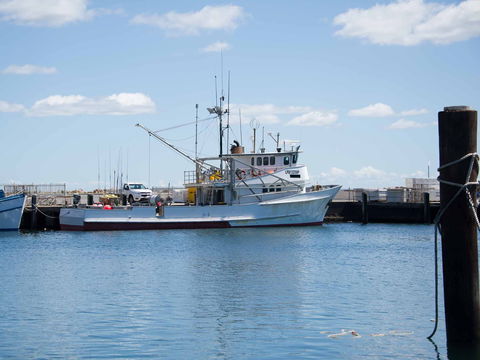 Love Sea Food Port Stephens - VIC Tourism 1