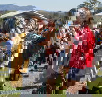 Lovedale Long Lunch - VIC Tourism
