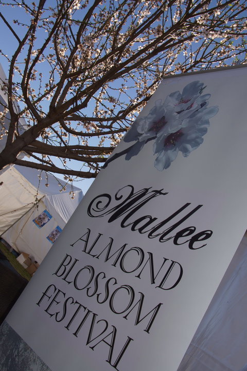Mallee Almond Blossom Festival - VIC Tourism 1