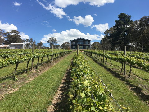 Mortimer's Diploma Of Taste - VIC Tourism 0