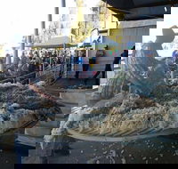 Narrabri Show - VIC Tourism