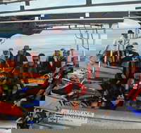 Recovery of the Great Barrier Reef expedition - VIC Tourism