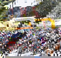 Snowies MTB Festival - VIC Tourism