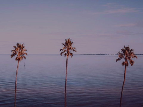 Sunset Streaming Live DJ Streams - VIC Tourism 0