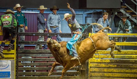 Top Gun And Young Gun Series Round 8 - VIC Tourism 0