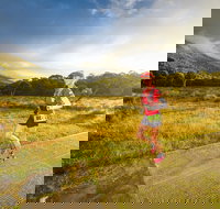 Trail Run Australia  Snowy Mountains - VIC Tourism