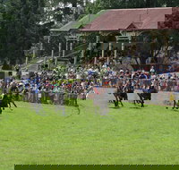 Tumut Derby Day - VIC Tourism