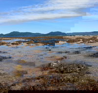 Walk to the Reef - VIC Tourism