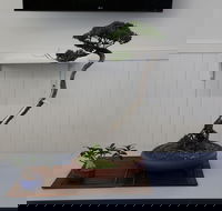 Wauchope Bonsai Workshop Group - VIC Tourism