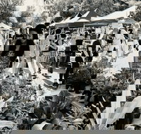 Yamba Farmers and Producers Market - VIC Tourism